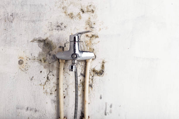Best Emergency Mold Removal  in Jennings, LA