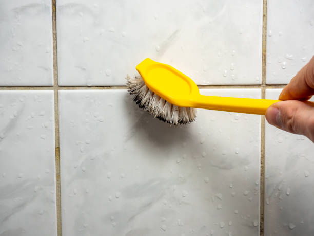 Best Commercial Mold Removal  in Jennings, LA
