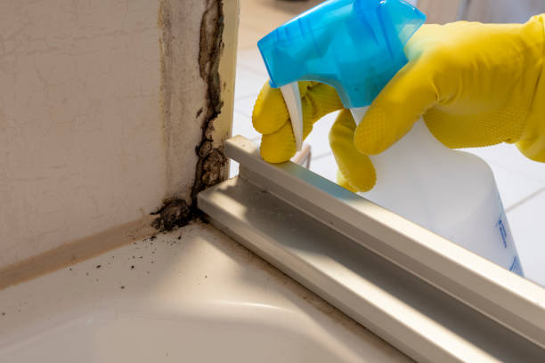 Best Office Mold Removal Services  in Jennings, LA