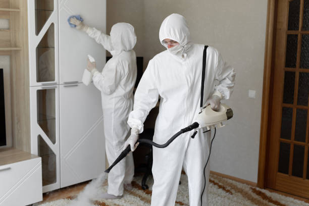 Crawl Space Mold Removal in Jennings, LA