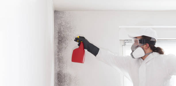 Water Damage Restoration in Jennings, LA